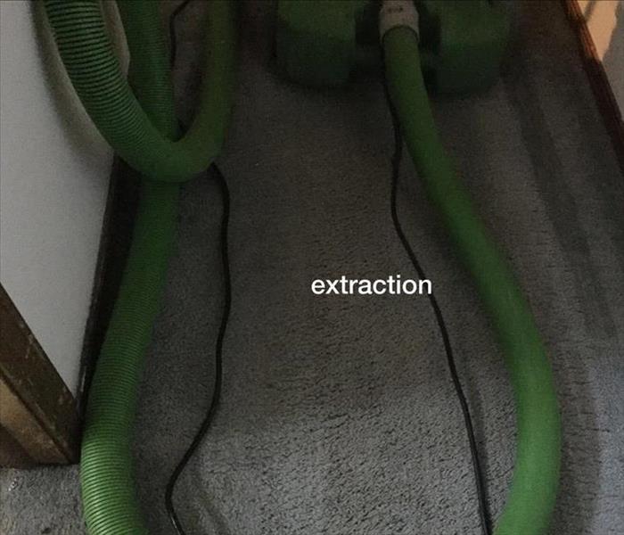 green water extraction hose and electical power cord on wet carpet
