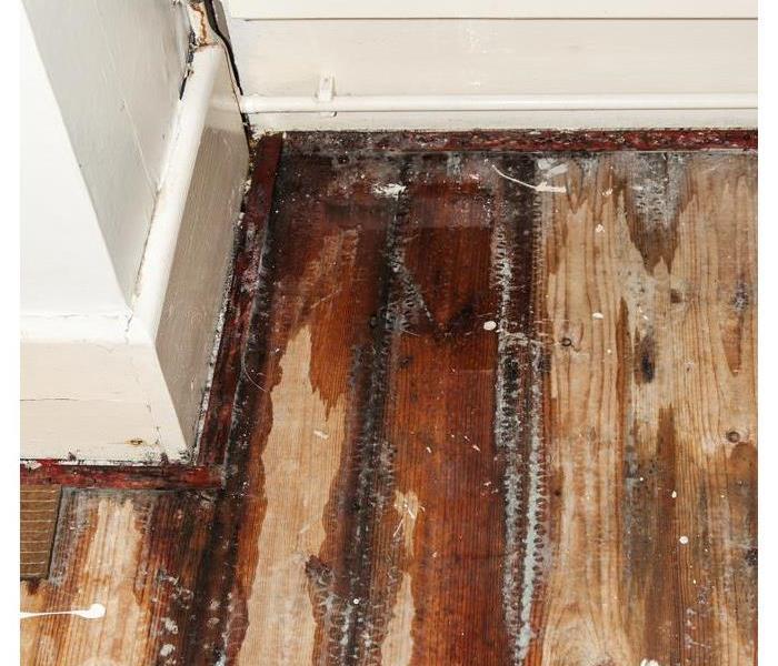 Wet stain on wood flooring.