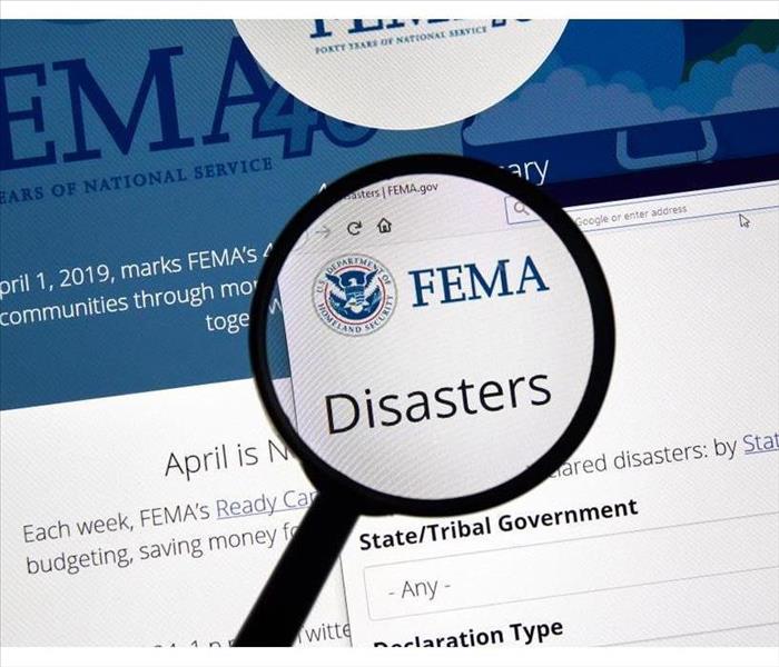 Fema.gov Disasters USA Government home page under magnifying glass.