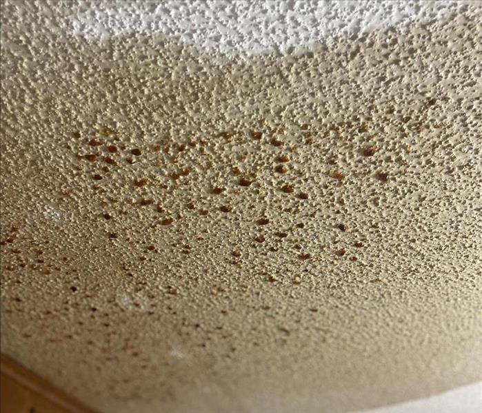 Mold damage in a home.